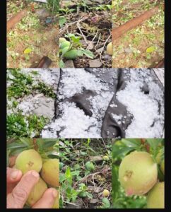 1003840647
