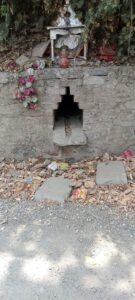 1003927490