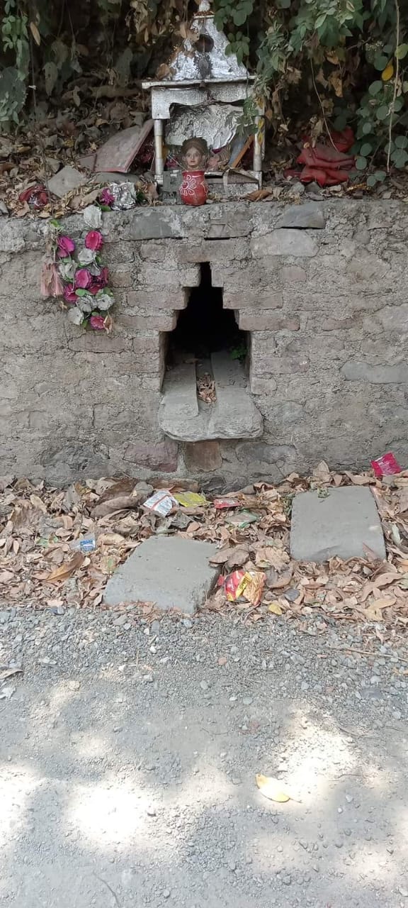 1003927490