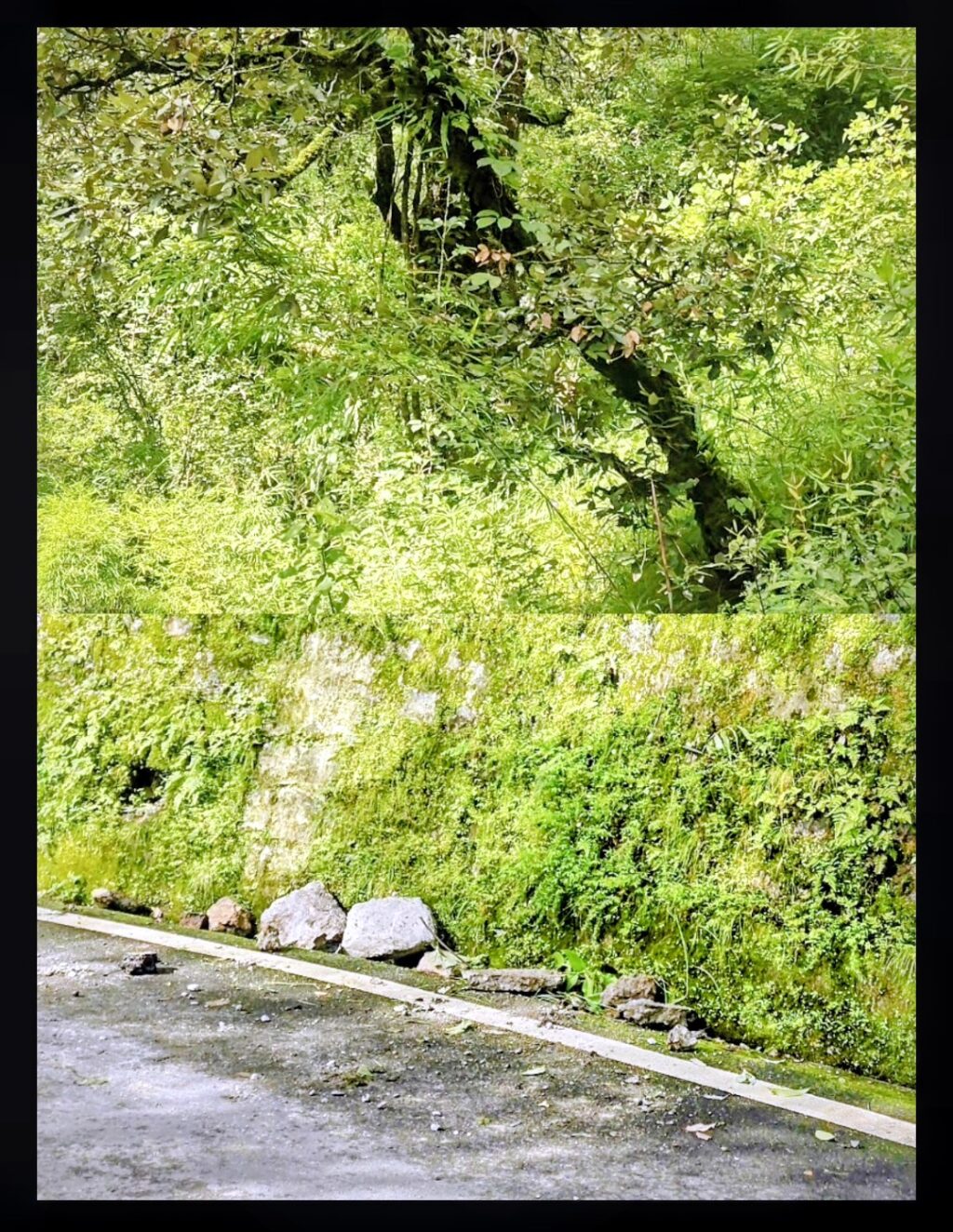 1004878019