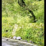 राज भवन रोड पर पहाड़ी से पत्थर गिरने से दो स्कूटी सवार बाल-बाल बचे