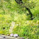 लोक भवन रोड पर पहाड़ी से पत्थर गिरने से दो स्कूटी सवार बाल-बाल बचे