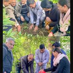 प्रोफेसरो ने वनस्पति विज्ञान विभाग में तिमूर ,तेजपत्ता का किया पौधारोपण
